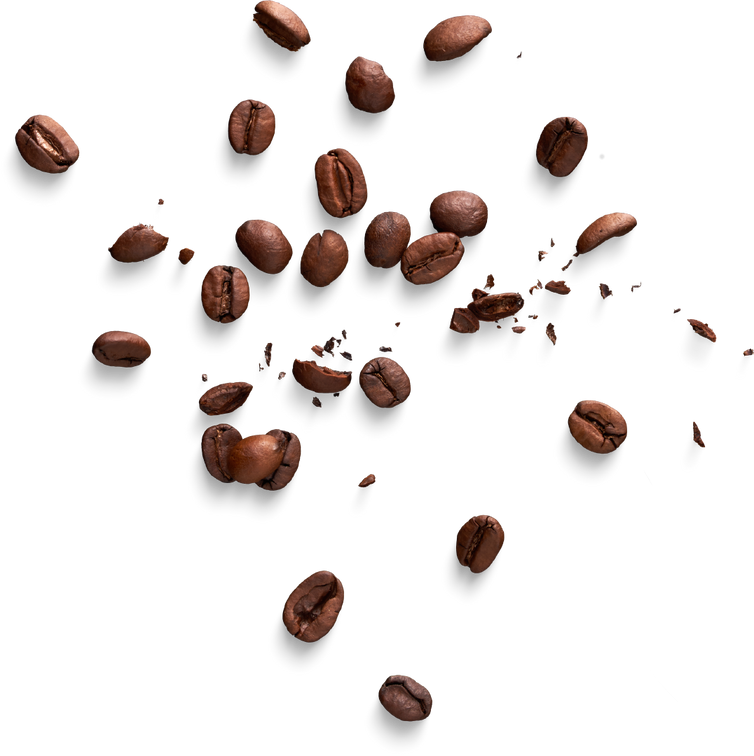 Isolated Cutout PNG
